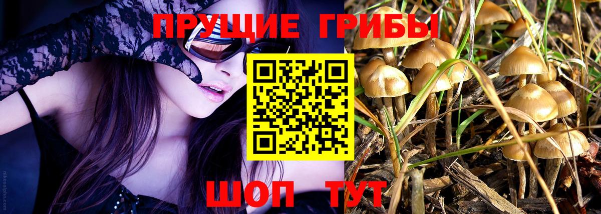 Галлюциногенные грибы мухоморы  наркота  Красноармейск  Вход с VPN 